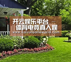 开云娱乐平台 - 体育电竞真人娱乐